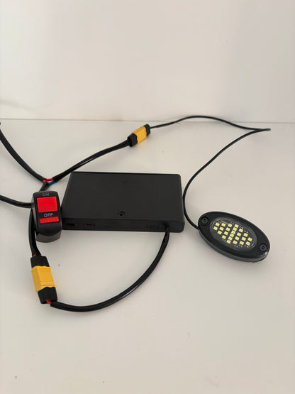 Rock Light (Battery Powered)