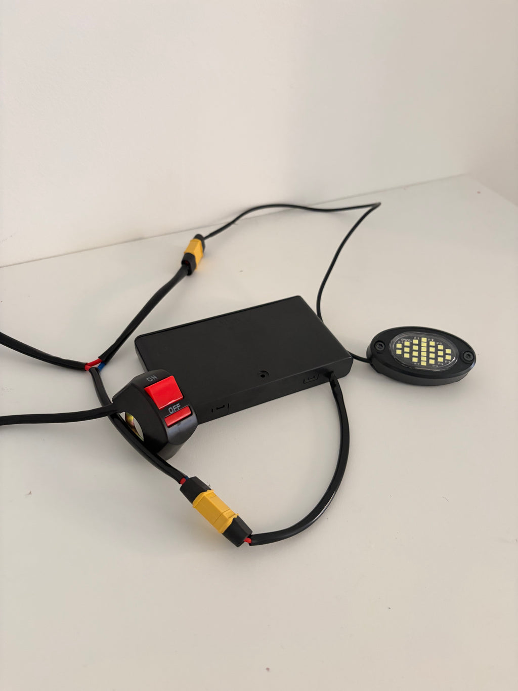 Rock Light (Battery Powered)