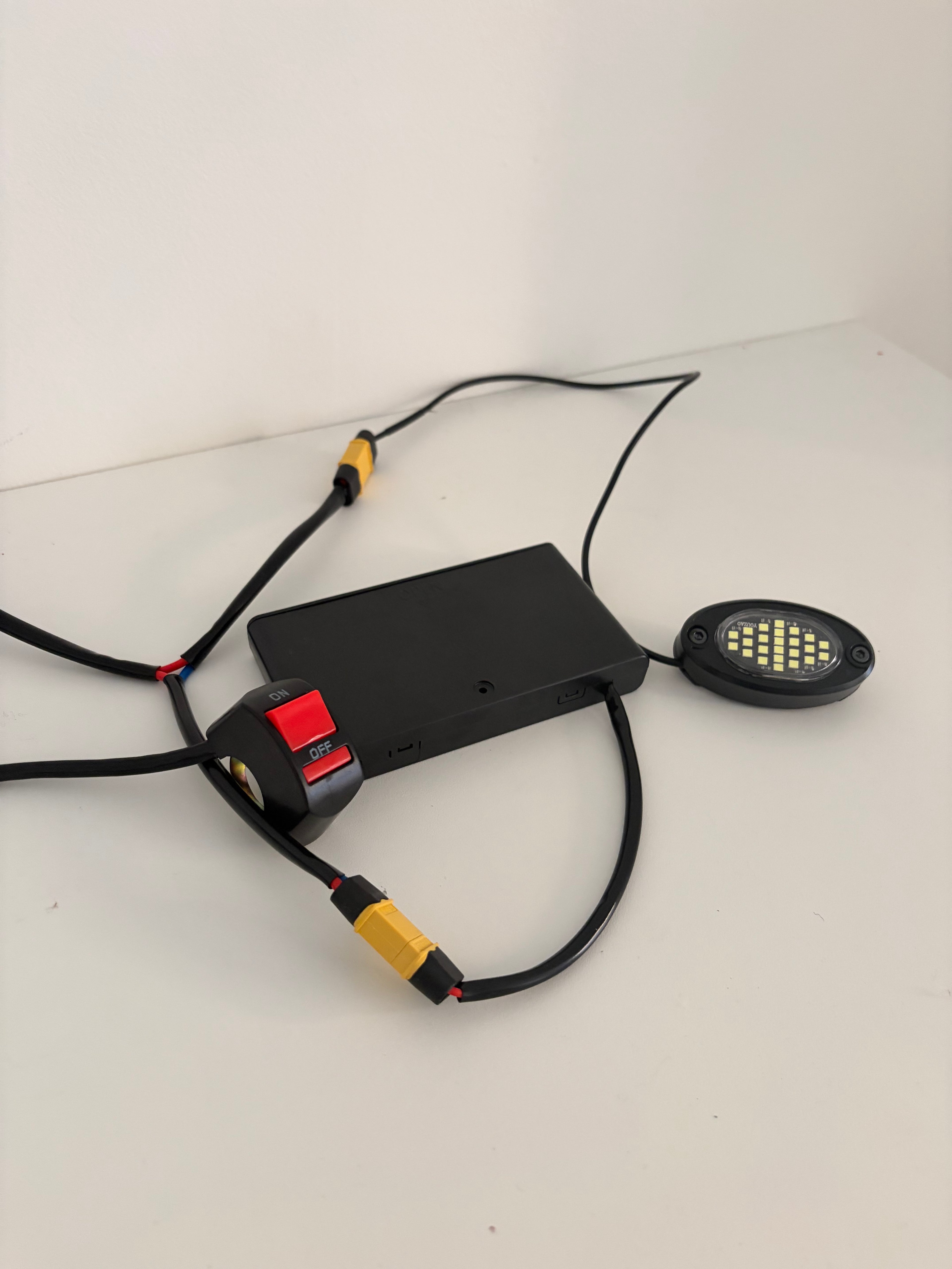 Rock Light (Battery Powered)