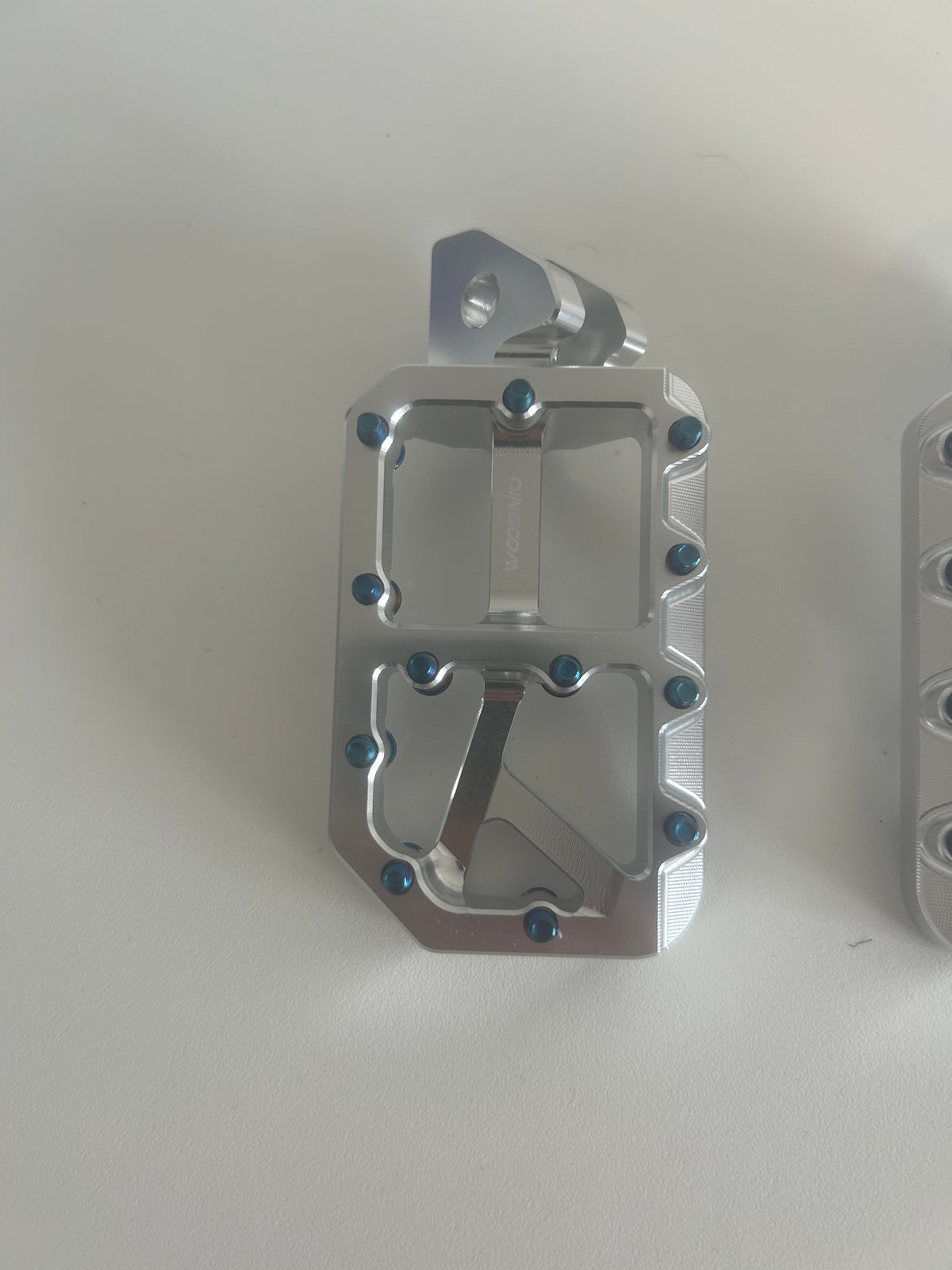 TITANIUM Prickly Style Pegs