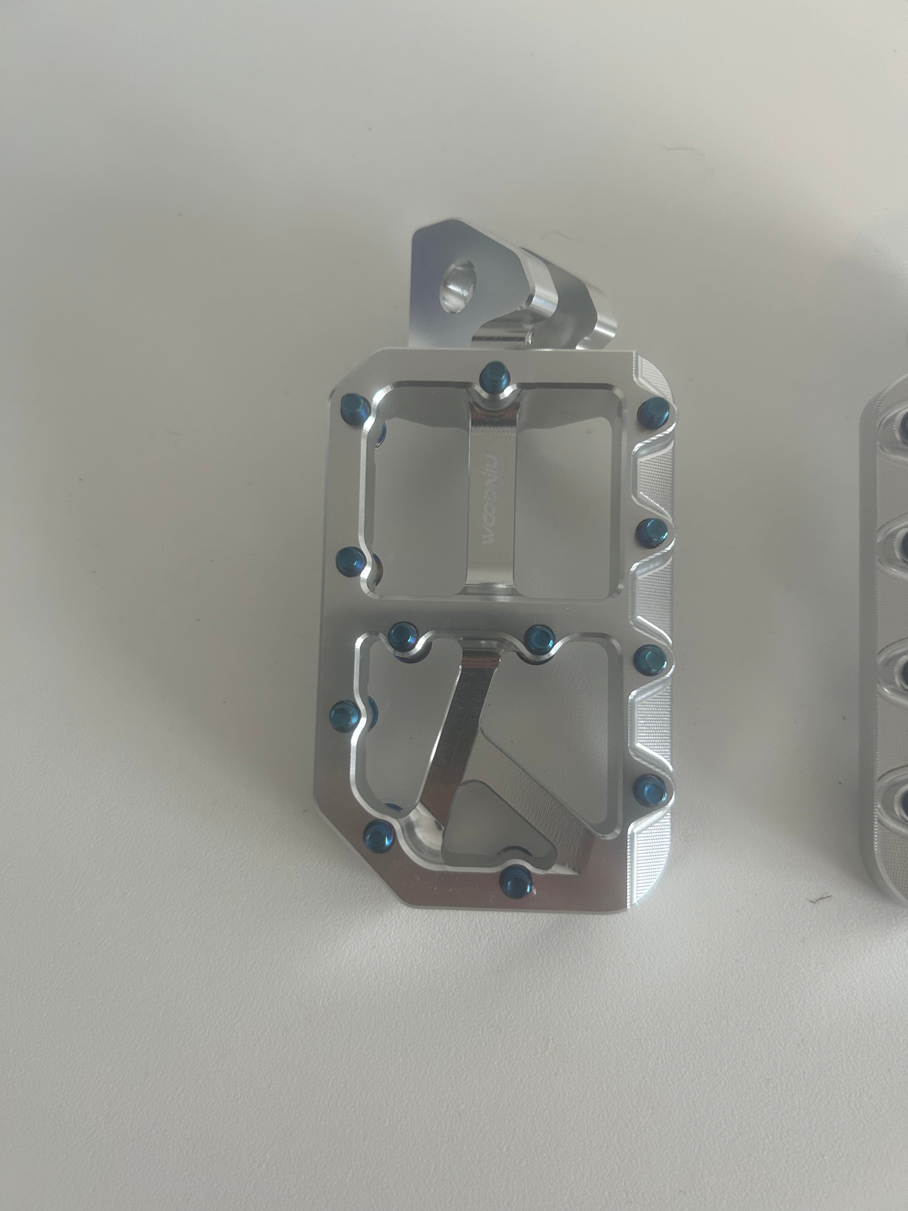TITANIUM Prickly Style Pegs
