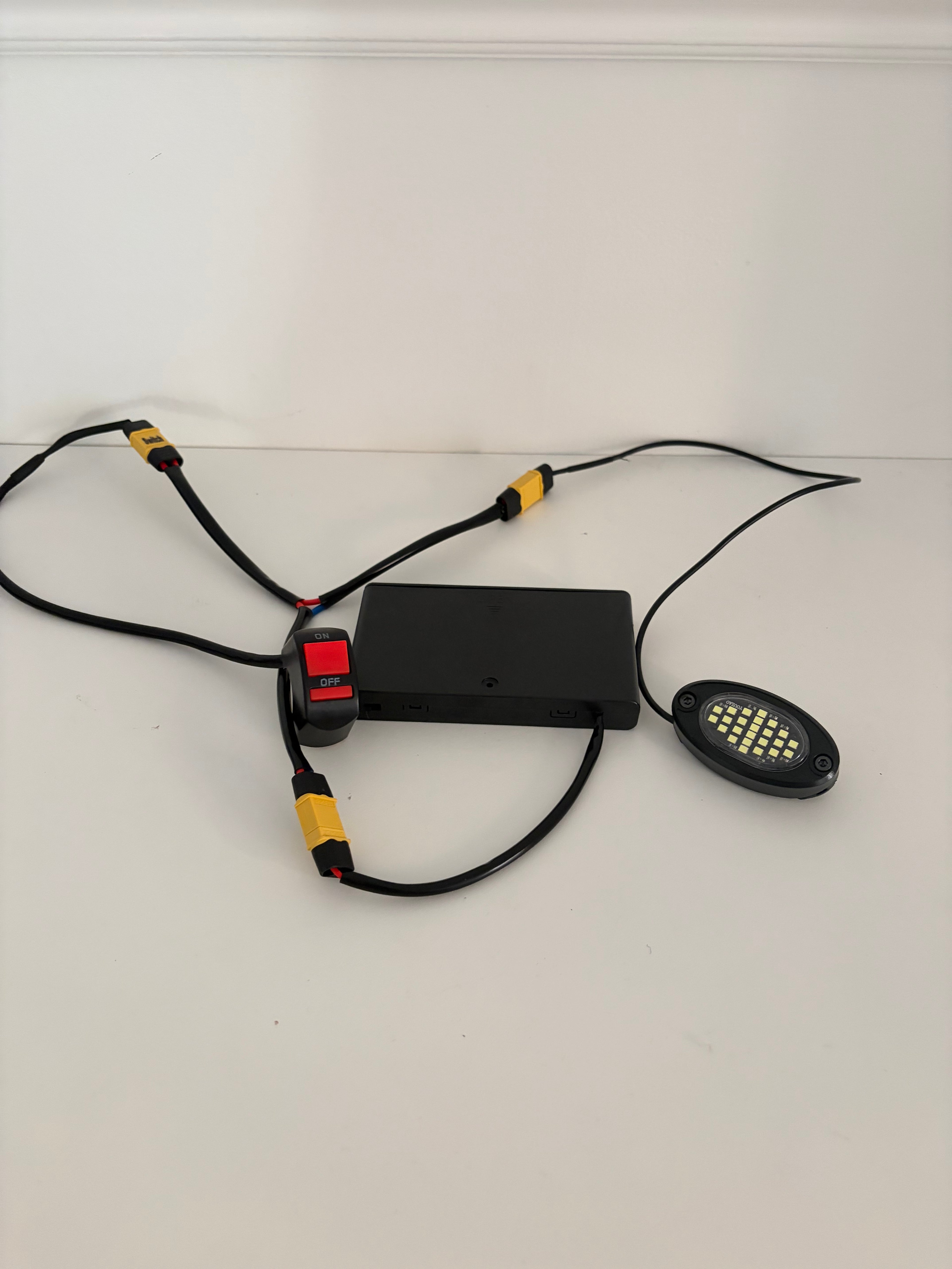 Rock Light (Battery Powered)