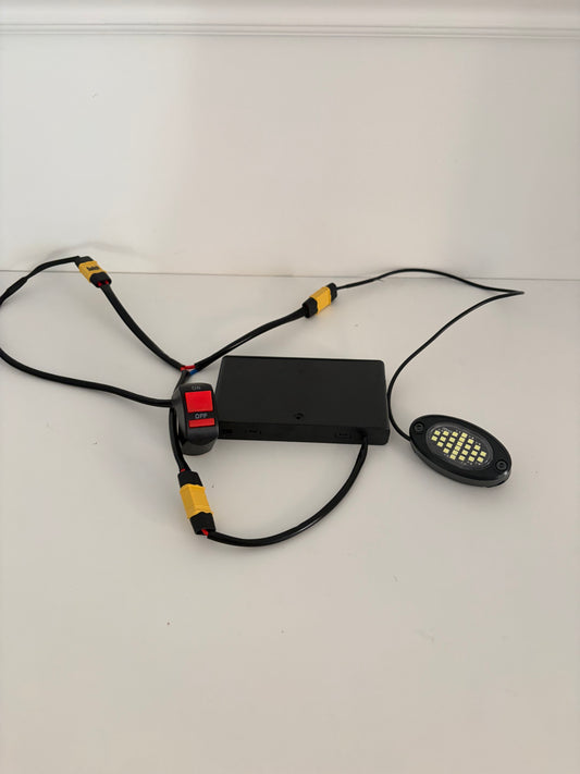 Rock Light (Battery Powered)